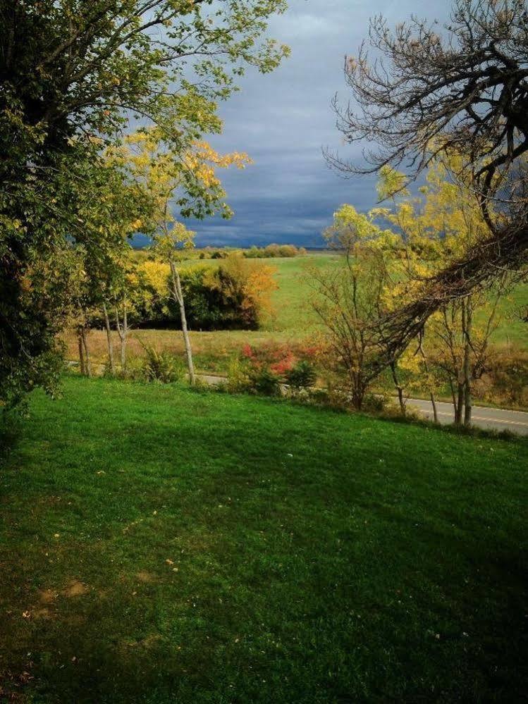 Netherfield Natural Farm Fontana Exteriér fotografie